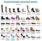 виды обуви в Москве